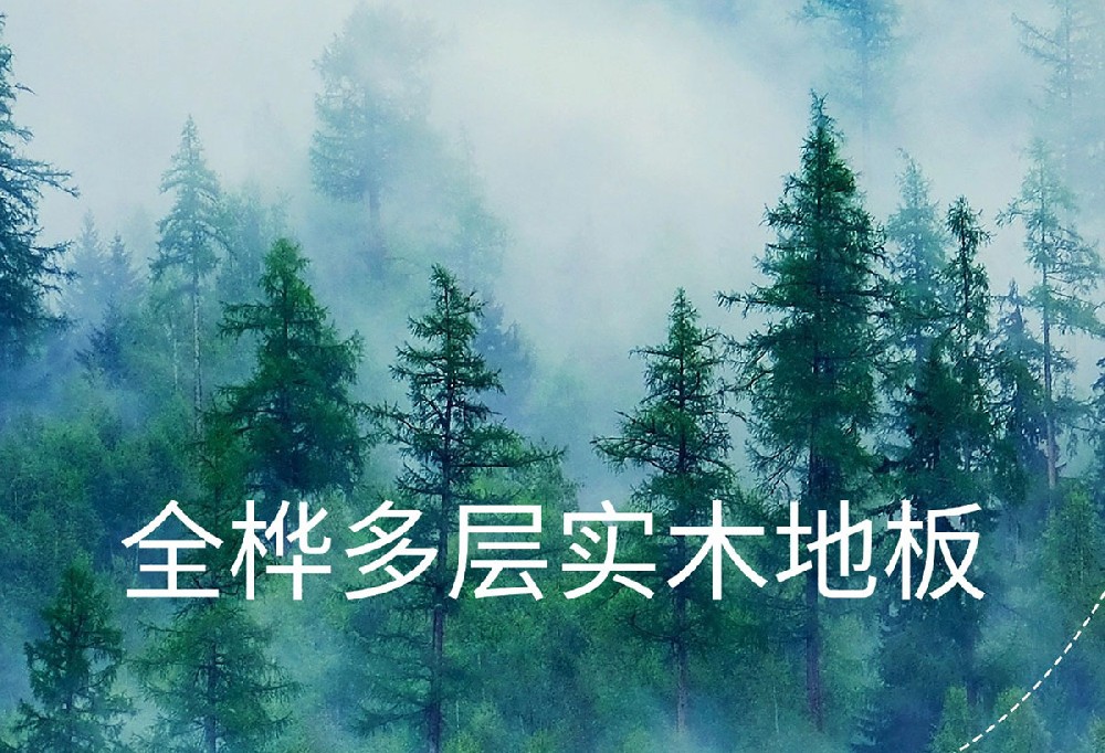 全桦实木ENF80系列